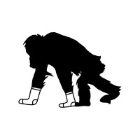 Critically Endangered Socks Logo