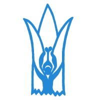 Vigyan Ashram Logo