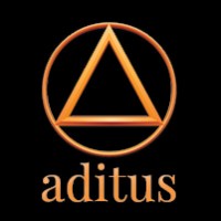 ADITUS Network Logo