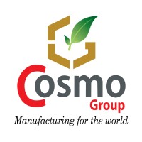 Cosmo Group Logo