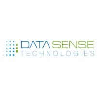 Datasense Technologies Logo