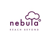 Nebula Infraspace LLP Logo