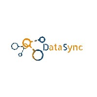 DataSync Inc. Logo