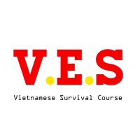 VES Vietnam Logo
