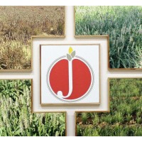 JYOT OVERSEAS PVT. LTD. Logo