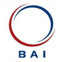 British American Investments Logo