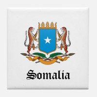 Permanent Mission of Somalia to the United Nations Logo