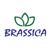 Brassica Hospitality Services Pvt. Ltd. Logo