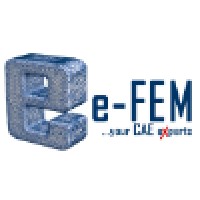 e-FEM srl Logo