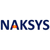 NAKSYS GROUP Logo
