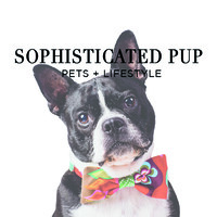 Sophisticated Pup Logo