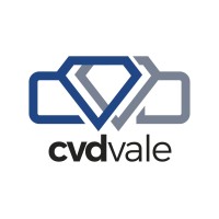 CVDVale Logo