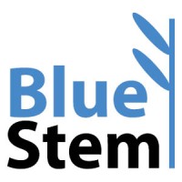 BlueStem Marketing Logo
