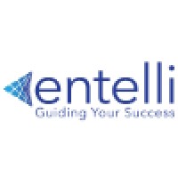 Entelli Consulting Logo