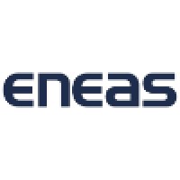 Eneas Services Logo