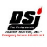 Disaster Services, Inc. Logo
