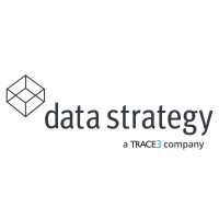 Data Strategy Logo