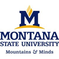 Montana State University-Bozeman Logo