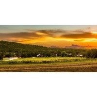 Singing Water Vineyards Logo