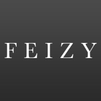 Feizy Logo