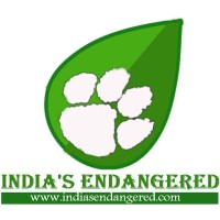 Indias Endangered Logo