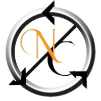 Naraiuran controls (India) Pvt Ltd Logo