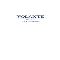 Volante Group Logo