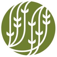 PALAIS DES THÉS Logo