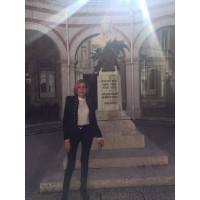 Assessoria Jurídica Internacional Advogados Associados Logo