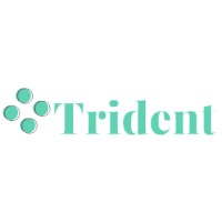 Trident IT Group Logo