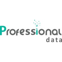 Professionals Data LLC Logo