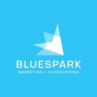 Blue Spark Solutions Logo