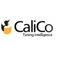 Calico Infosystems Pvt Ltd Logo