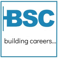 Brainsearch Consulting An ISO 9001:2008 Certified Recruitment Consulting Firm Logo