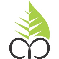 NABSAMRUDDHI Finance Limited Logo