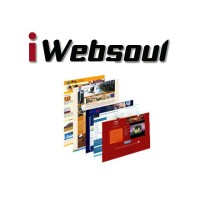 iWebsoul - Intrepid Websoul Pvt. Ltd. Logo