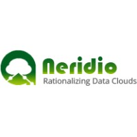 Neridio Systems Pvt. Ltd. Logo
