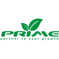 Prime Infoserv LLP Logo