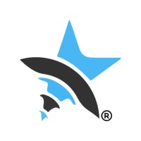 Websoftstar Infosystems Limited Liability Partnership Logo