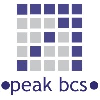 PEAK BCS VENTURES INDIA PRIVATE LIMITED Logo