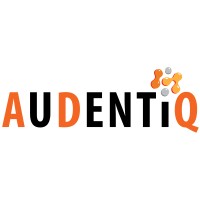 Audentiq Consulting Logo