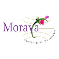 Moraya Global Logo