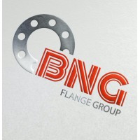 BNG Flange Group Logo