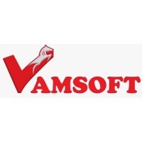 Vamsoft Technology Logo