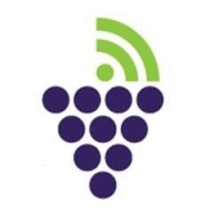 Grapevine Digital India Logo