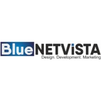 BlueNetvista Logo