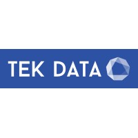 TEK Data Services Logo