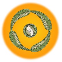Ngarara Willim Logo