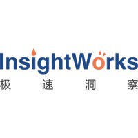 InsightWorks极速洞察 Logo