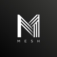 Mesh Logo